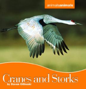 Cranes and Storks (Animals Animals)