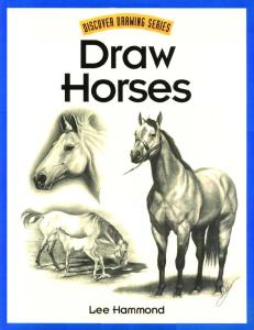 Draw Horses (Discover Drawing Series)
