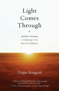 Light Comes Through: Buddhist Teachings on Awakening to Our Natural Intelligence