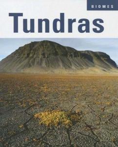 Tundras (Biomes)